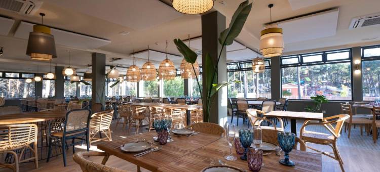纳萨尔奥海户外度假村(Ohai Nazaré Outdoor Resort)图片
