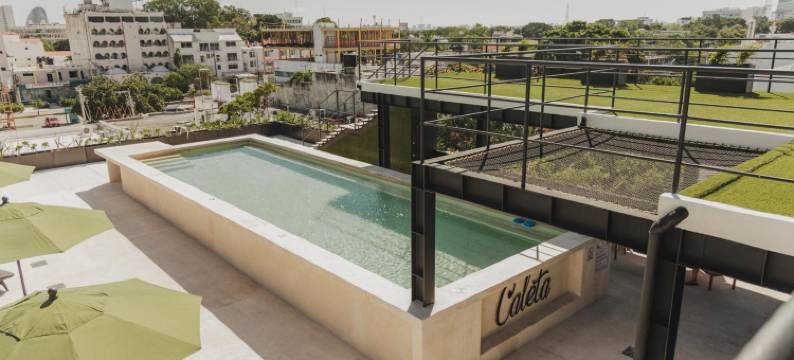 卡莱塔旅舍屋顶泳池酒店(Caleta Hostel)图片
