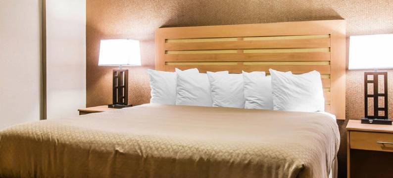 沃伦品质套房酒店 - 底特律(Quality Inn & Suites Warren - Detroit)图片