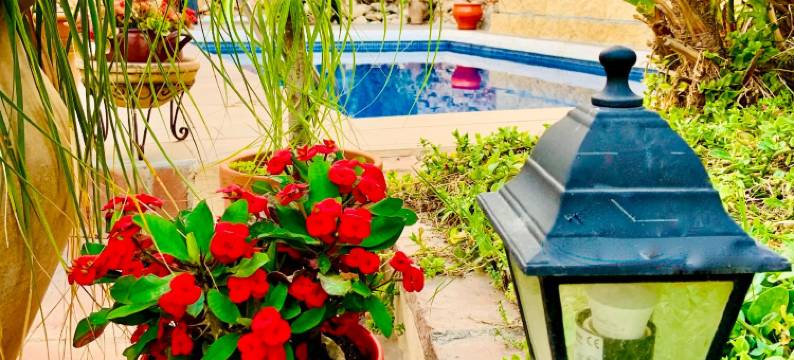 精品旅馆洛尔卡(Boutique Hostal Lorca)图片