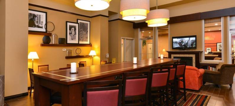 埃德蒙顿国际机场希尔顿欢朋套房酒店(Hampton Inn & Suites by Hilton Edmonton International Airport)图片