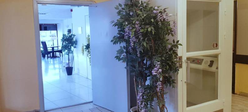 Hotell Skinnargården图片