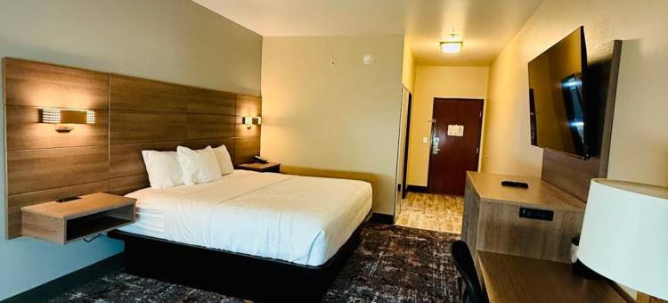 摩根城拉昆塔温德姆套房酒店(La Quinta Inn & Suites by Wyndham Morgan City)图片