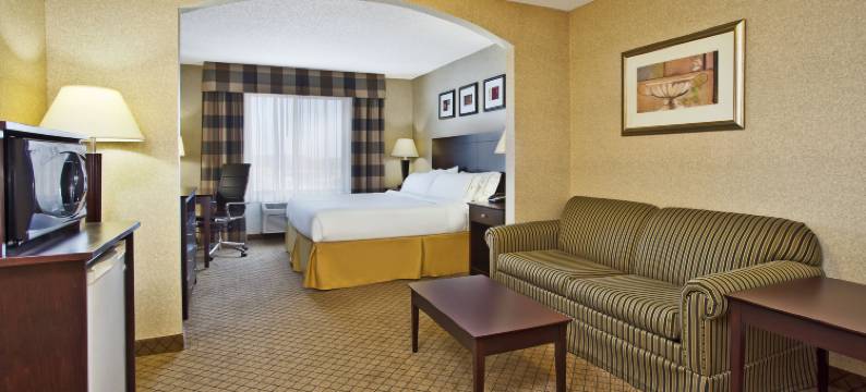 智选假日套房酒店安德森(Holiday Inn Express & Suites ANDERSON by IHG)图片