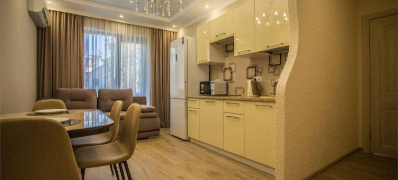 Vidnyi公寓酒店(Apartments Vidny)图片