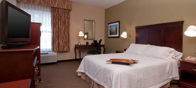 东兰辛欢朋酒店(Hampton Inn East Lansing)图片