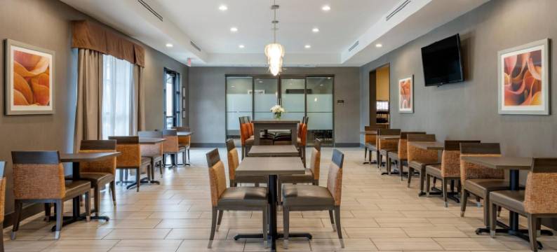 舒适套房靠近萨姆休斯顿赛马公园(Comfort Suites Near Sam Houston Race Park)图片