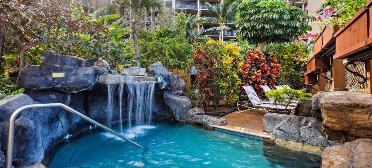 阿斯顿卡纳帕利海岸酒店(Aston Kaanapali Shores)图片