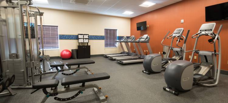 希尔顿欢朋套房酒店-北阿尔伯克基I 25(Hampton Inn & Suites Albuquerque North/I-25)图片