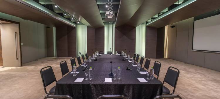 Crowne Plaza 亚松森(Crowne Plaza Asuncion)图片