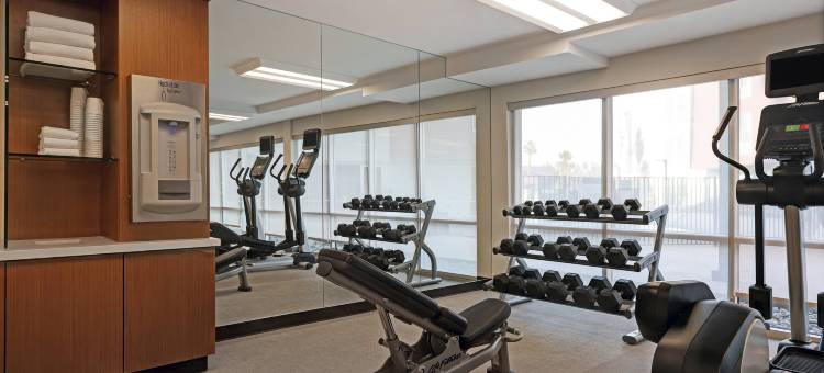 棕榈沙漠万豪SpringHill Suites酒店(SpringHill Suites Palm Desert)图片