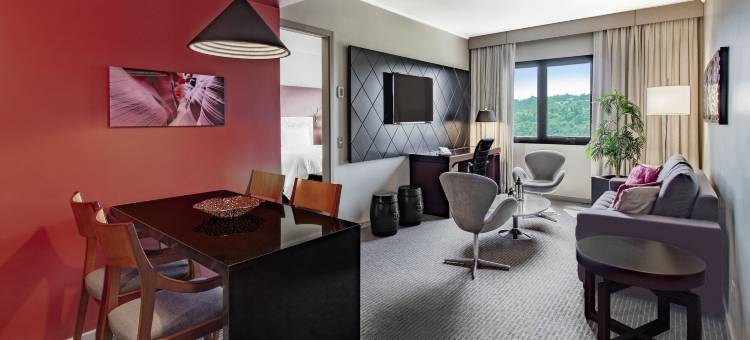 圣保罗机场万豪酒店(Sao Paulo Airport Marriott Hotel)图片