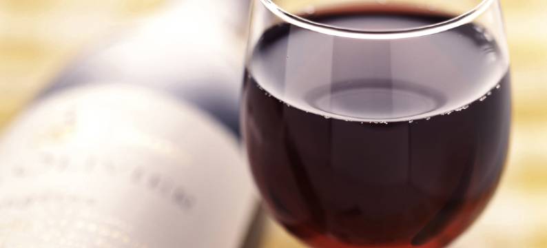 宜必思蒙彼利埃南部酒店(Ibis Montpellier Sud)图片