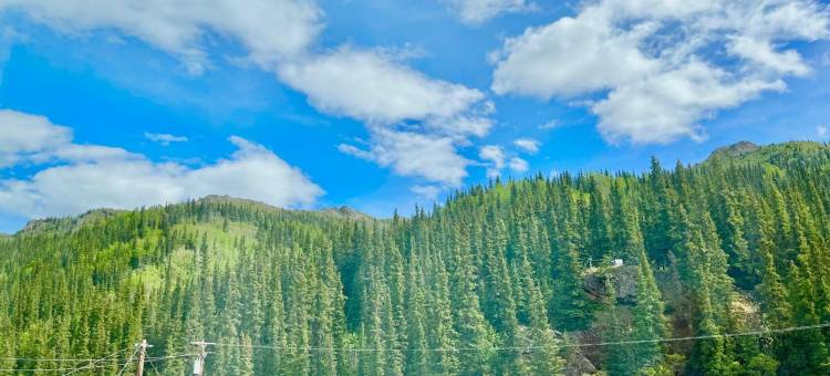 丹纳利彩虹村房车公园汽车旅馆(Denali Rainbow Village RV Park and Motel)图片