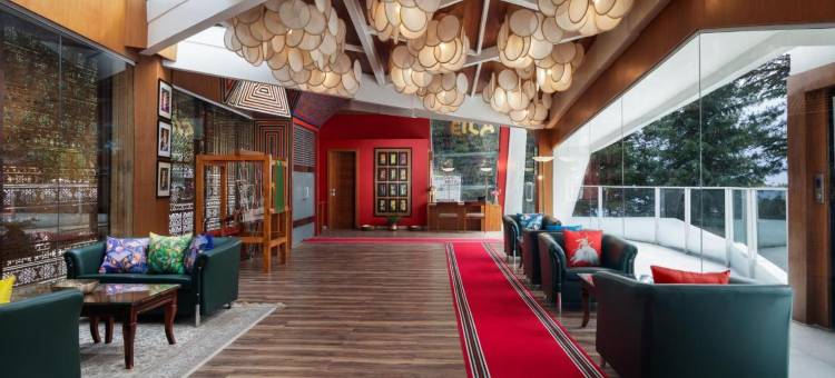 生命之树艾拉艺术酒店(Tree of Life Eila Art Hotel)图片