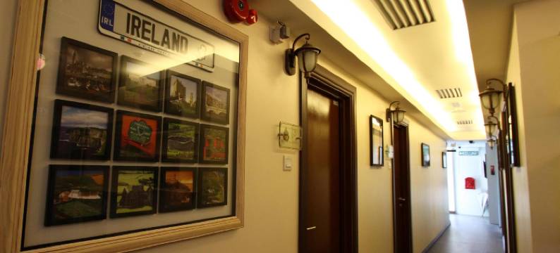 三叶草旅馆(Shamrock Guest House)图片