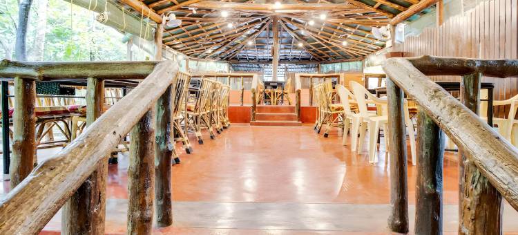 河燕鸥小屋(The River Tern Lodge - Junglelodges)图片