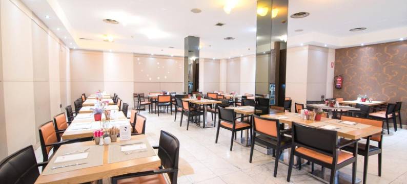 珀蒂宫总统卡斯特拉纳酒店(Petit Palace President Castellana)图片