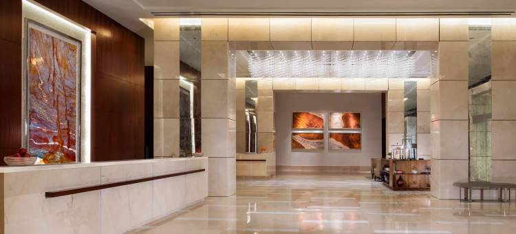 圣多明戈里尔洲际酒店(InterContinental Hotels REAL SANTO DOMINGO by IHG)图片