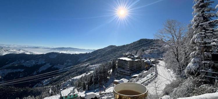 Treebo Shimla Ayurvedic Retreat, Kufri - Pure Veg图片