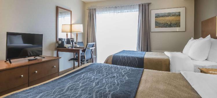 舒适酒店(Comfort Inn)图片