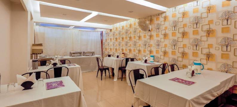 Treebo Rvg, Alkapuri图片