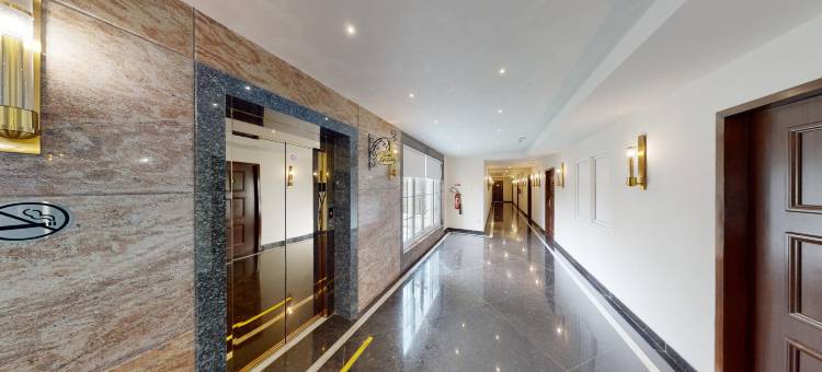 阿科德铬(Accord Chrome)图片