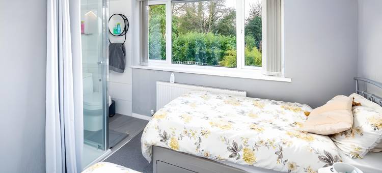 史蒂夫之家住宿加早餐旅馆(Steve's Place)图片