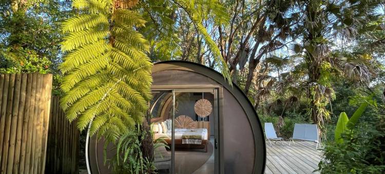 布瓦谢里泡泡小屋(Bubble Lodge Bois Chéri Plantation)图片