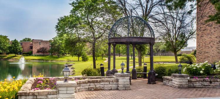 芝加哥西北绍姆堡温德姆花园酒店(Wyndham Garden Schaumburg Chicago Northwest)图片