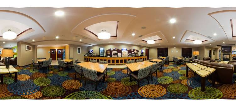 智选假日套房酒店罗切斯特(Holiday Inn Express & Suites Rochester – Mayo Clinic Area)图片