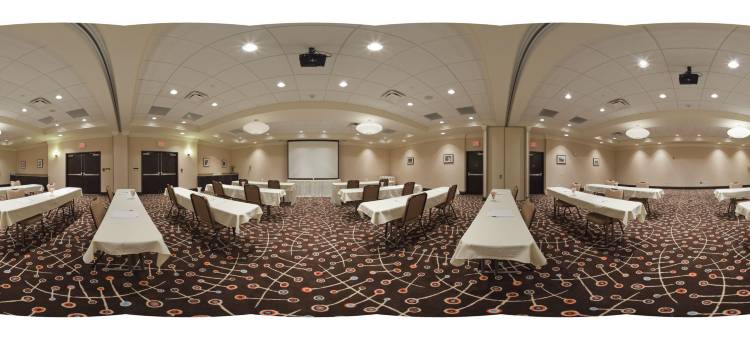 洲际酒店集团路易斯威尔机场假日酒店 - 博览会(Holiday Inn Louisville Airport - Fair/Expo)图片