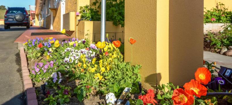 霍利斯特旅馆(Hollister Inn)图片