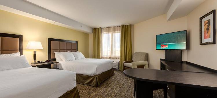 卡尔加里机场北雷迪森公园酒店(Park Inn by Radisson, Calgary Airport North, AB)图片