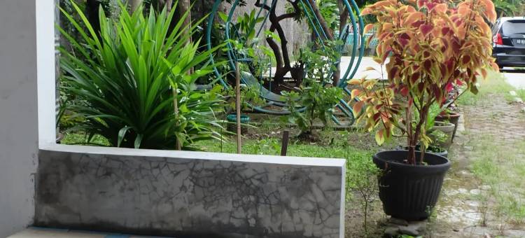 Homestay Amanda图片