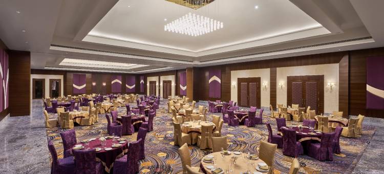 航行者孤独幸福(The Solitaire Bliss)图片