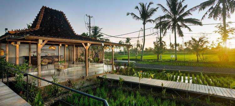 乌布 DITUJU(DITUJU Ubud by GenuineHost)图片