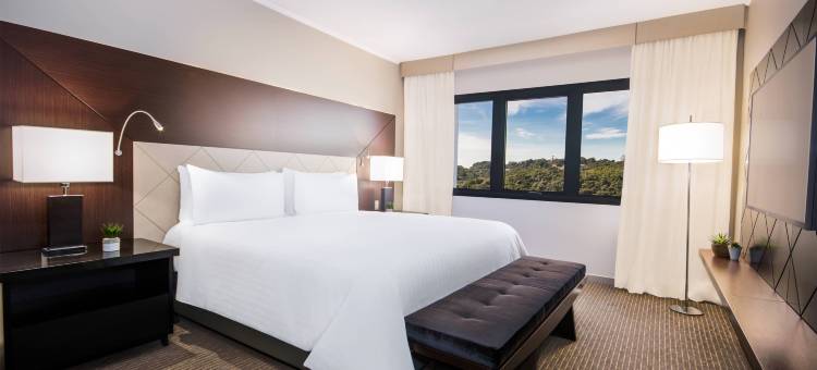 圣保罗机场万豪酒店(Sao Paulo Airport Marriott Hotel)图片