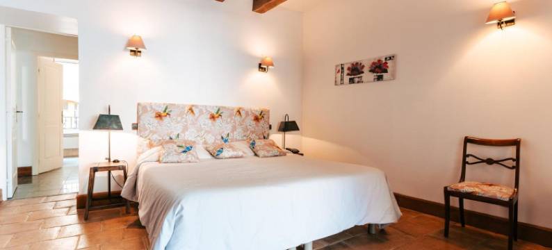 德斯康索斯酒店(Hotel des Consuls)图片