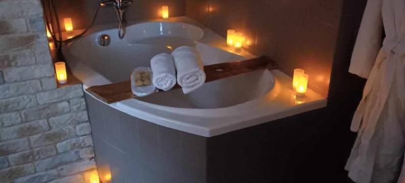 兹罗提林酒店(Złoty Lin)图片