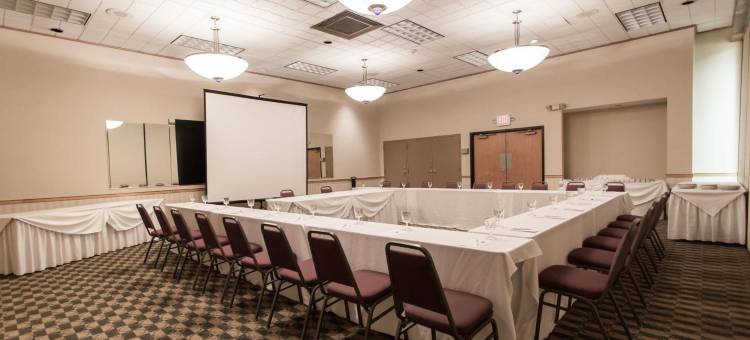 温德姆花园酒店-罗穆勒斯底特律机场(Wyndham Garden Romulus Detroit Metro Airport)图片