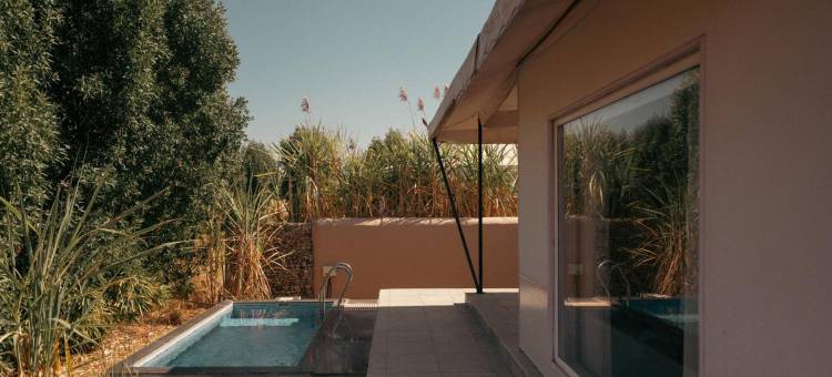 Brij Pola, Jawai - 带私人泳池的豪华丛林营地(Brij Pola, Jawai - Luxury Jungle Camp with Private Pools)图片