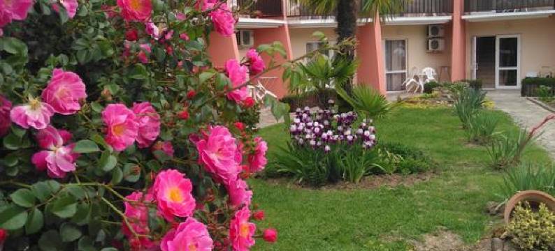 滑铁卢酒店(Vaterloo Hotel)图片