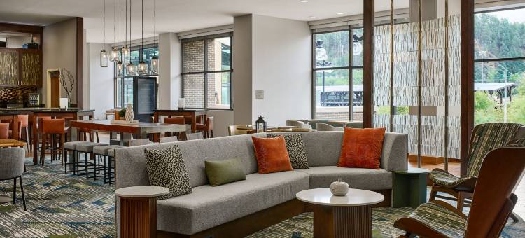 戴德伍德万豪SpringHill Suites 酒店(SpringHill Suites Deadwood)图片