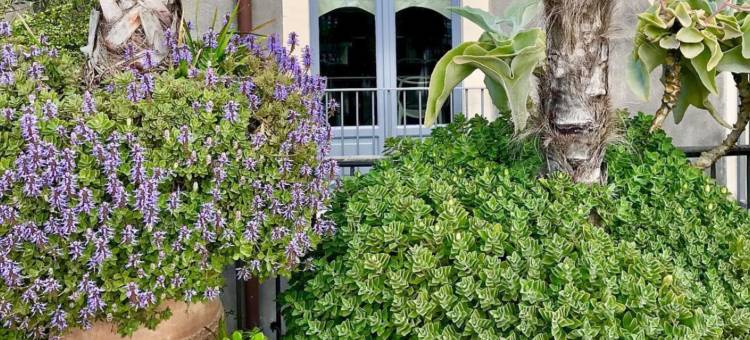 阿斯莫多吉斯拉酒店(Asmundo di Gisira)图片