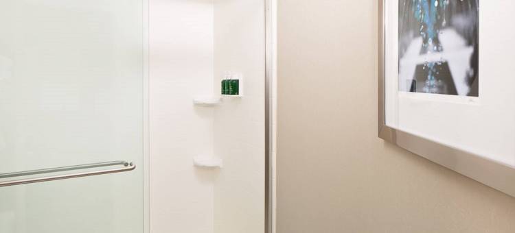 埃尔帕索万豪SpringHill酒店(SpringHill Suites El Paso)图片