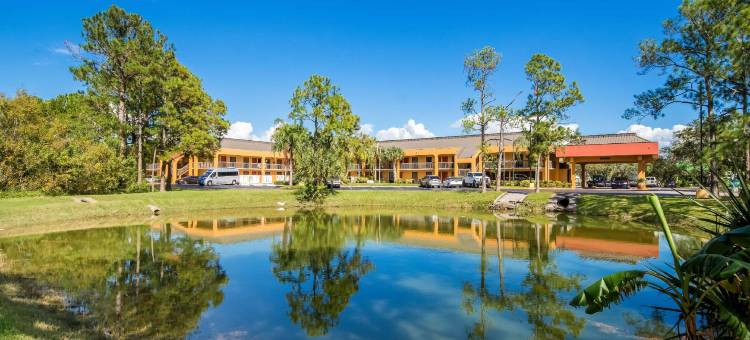 SureStay Hotel by Best Western St. Pete Clearwater Airport图片