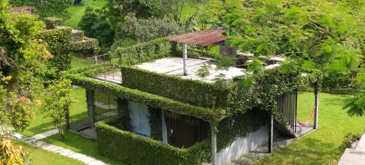 茶园度假村(Tea Garden Resort)图片