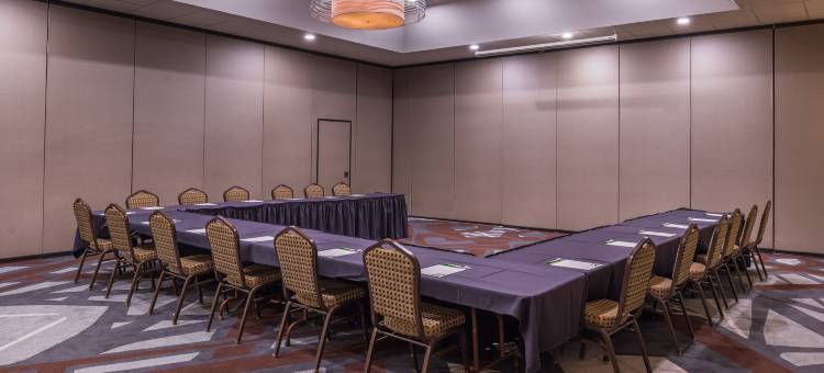 Holiday Inn 奥本指湖区(Holiday Inn Auburn-Finger Lakes Region)图片