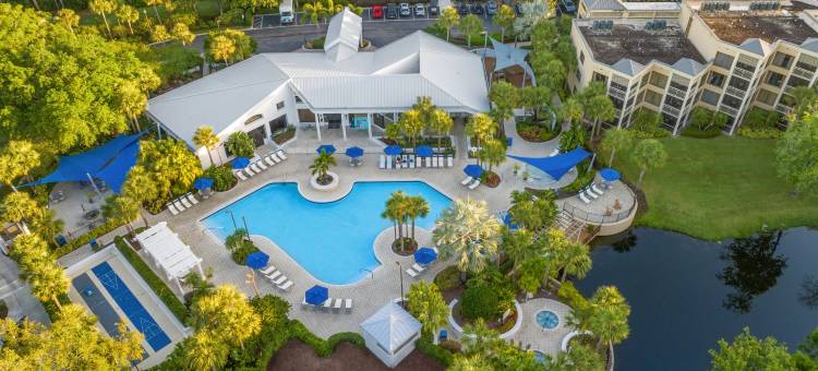 皇家棕榈树万豪酒店(Marriott's Royal Palms)图片